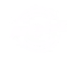 artplus